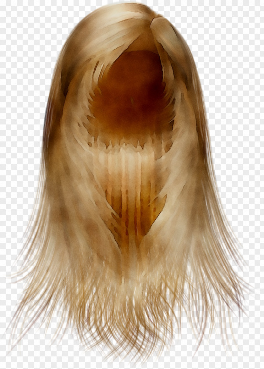 Blond Wig Fur Long Hair PNG