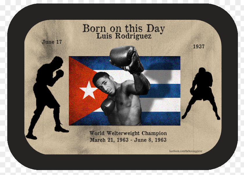 Boxing Title Bout Championship Professional Boxer Glove PNG