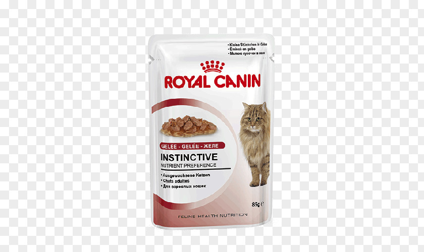 Cat Food Dog Royal Canin Kitten Feline Health Nutrition Dry PNG