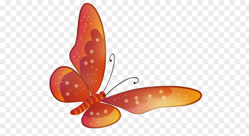 Colorful Butterfly Monarch Wallpaper PNG