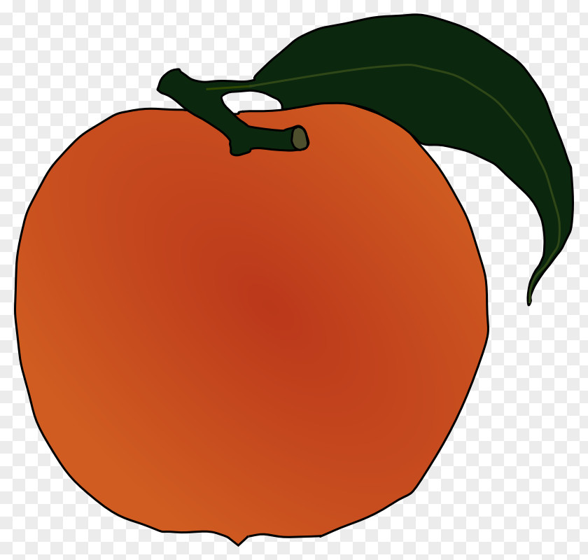 Peach Clip Art Image Vector Graphics Openclipart PNG