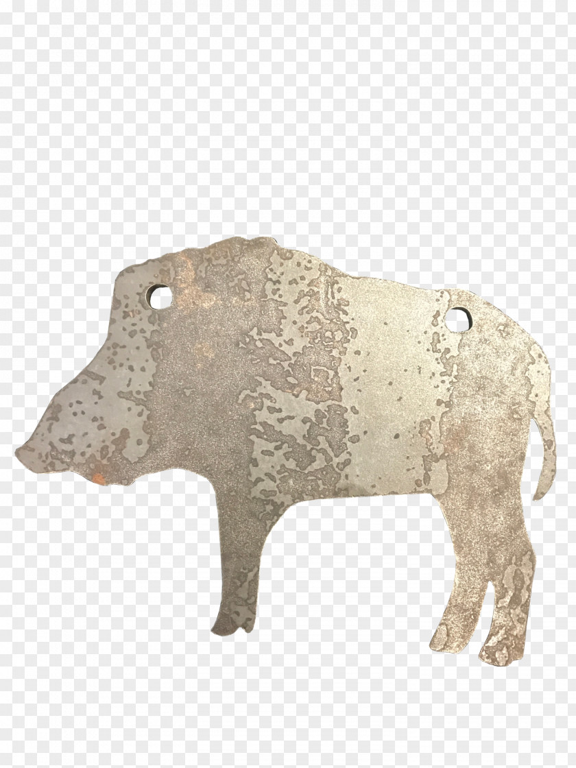 Pig Cattle Snout Terrestrial Animal PNG