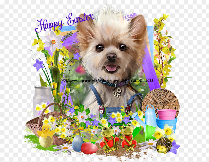 Puppy Yorkshire Terrier Cat Animal Painting PNG