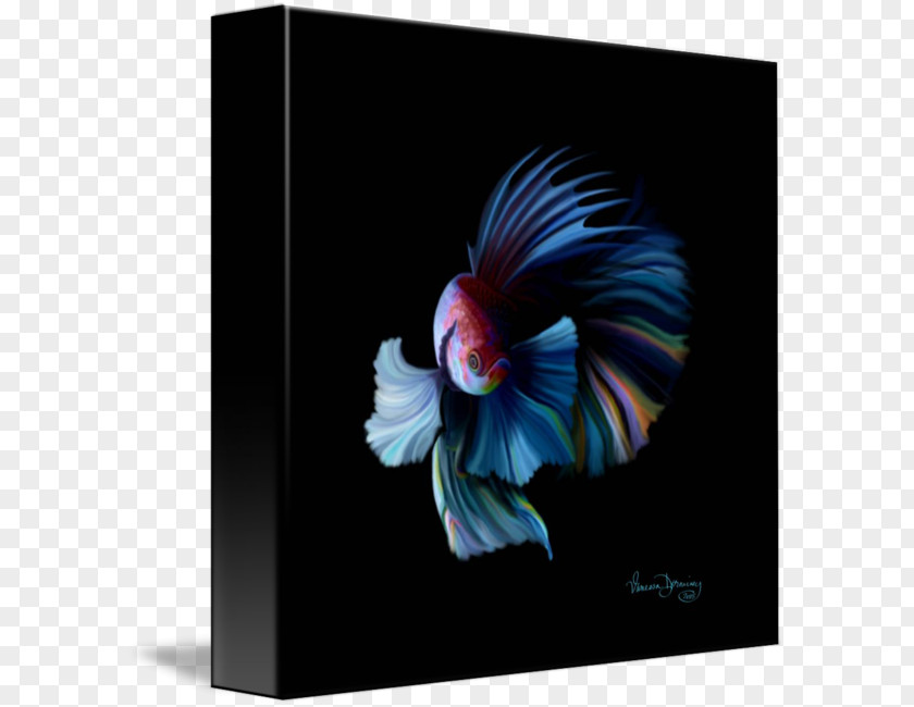 Siamese Fighting Fish Chicken As Food PNG