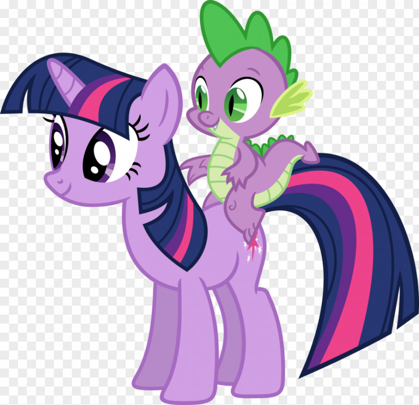 Spike Twilight Sparkle Pinkie Pie Rarity Rainbow Dash Pony PNG