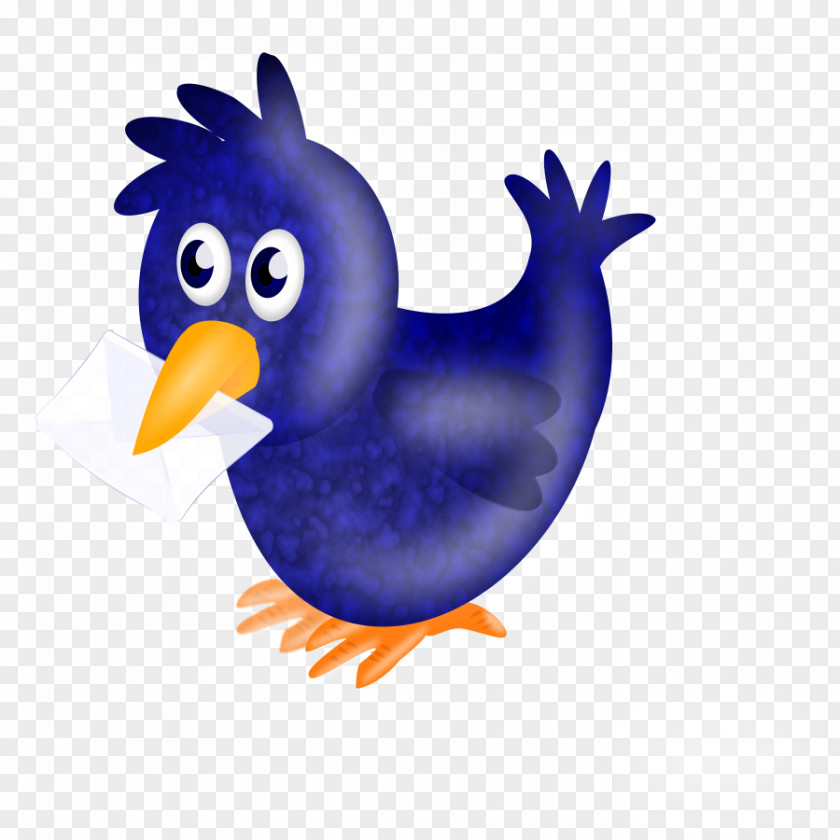 Twitter Cliparts Homing Pigeon Racing Homer English Carrier Bird PNG