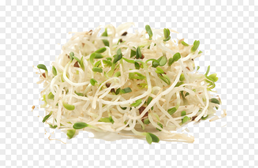 Vegetable Alfalfa Stock Photography Organic Food Sprouting PNG