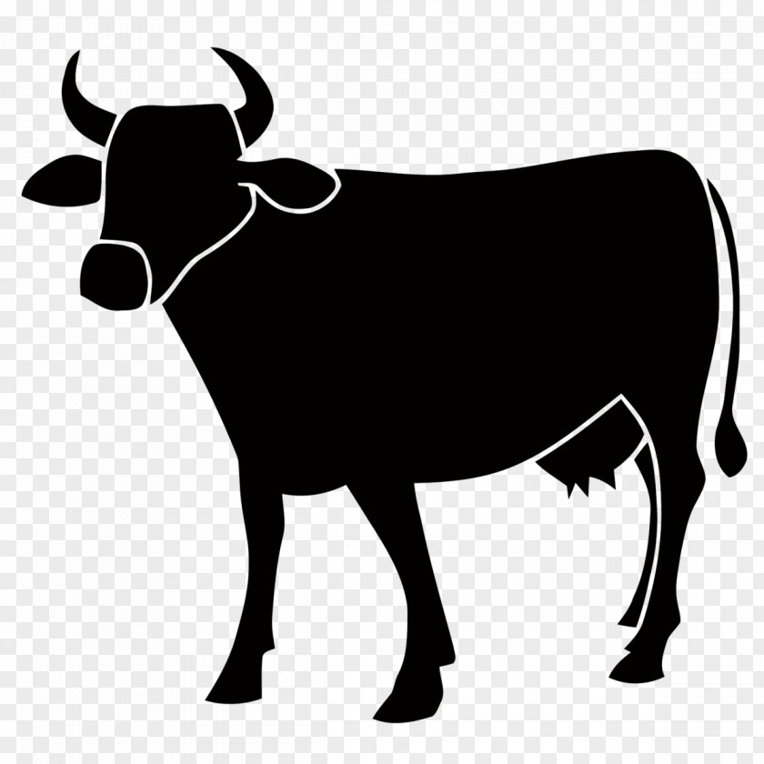 Cow Cattle PNG