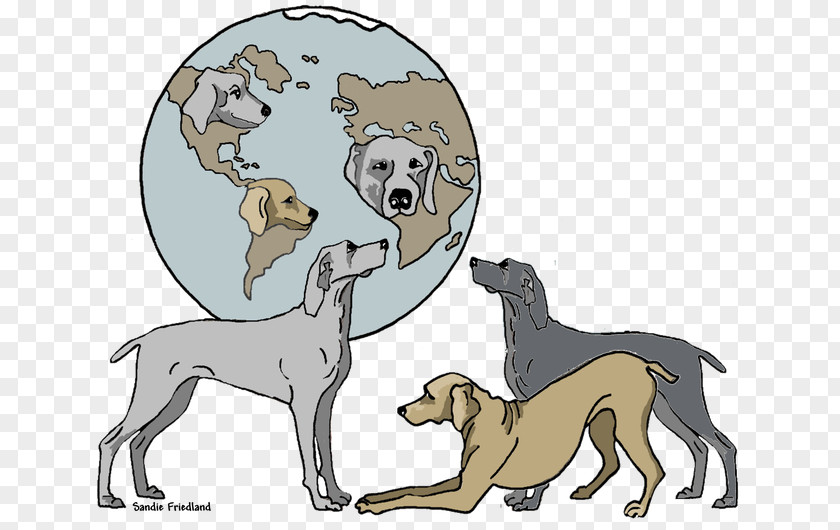 Puppy Dog Breed Italian Greyhound Weimaraner Non-sporting Group PNG