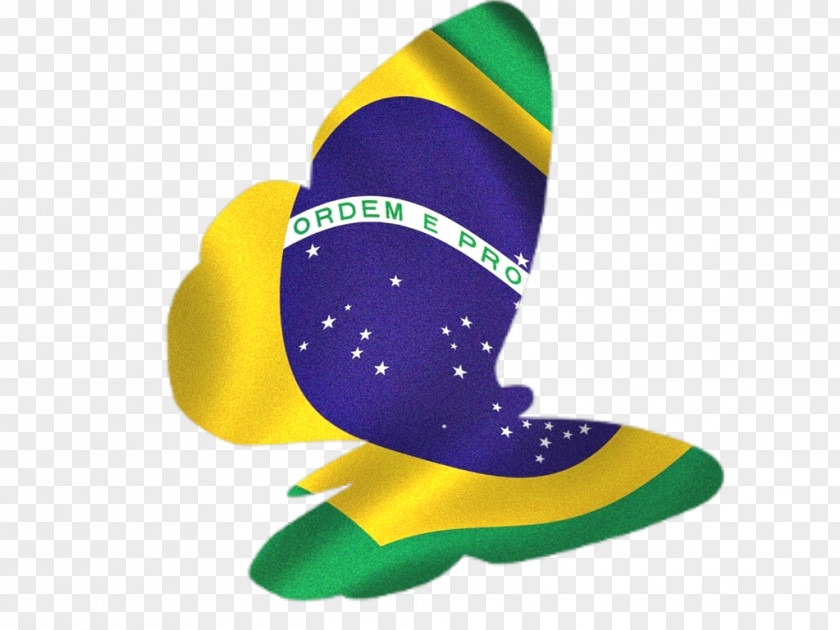 Bandeiras Estilización Flag Of Brazil PNG