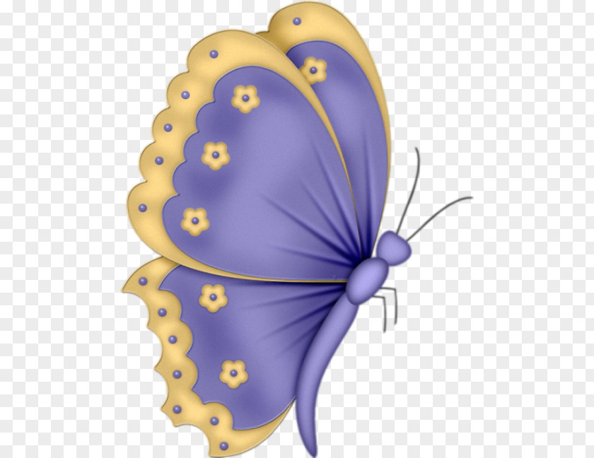 Butterflies Filigree Insect Drawing Clip Art Cartoon Brush-footed PNG