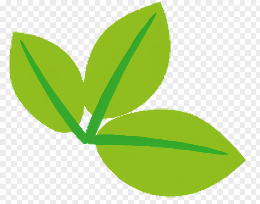 Flower Logo Green Leaf PNG