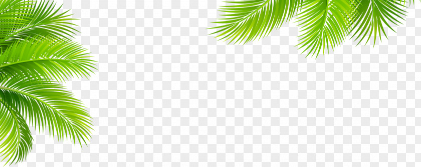 Green Leaf Pattern PNG