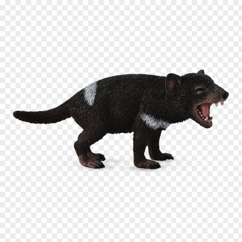 Tasmanian Devil Cartoon The Thylacine Marsupial PNG