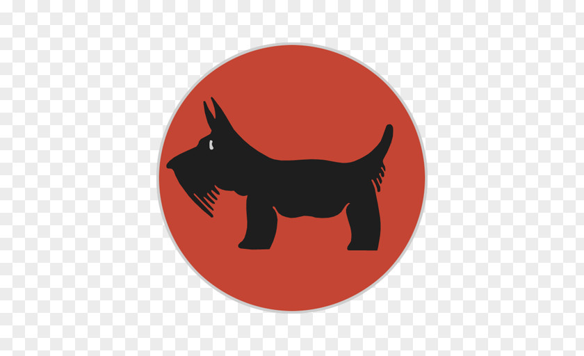 Dog Whiskers Cat Snout PNG