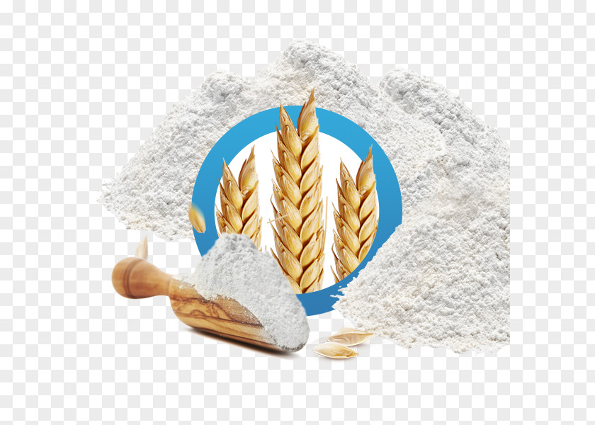 Flour Wheat PNG