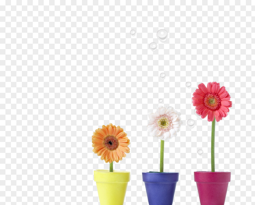 Flower Flowerpot PNG