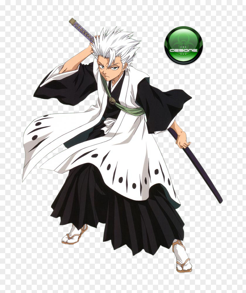 Ichigo Kurosaki Tōshirō Hitsugaya Rangiku Matsumoto Shunsui Kyōraku Bleach PNG