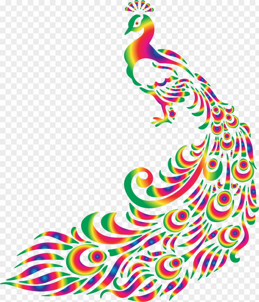 Peacock Cliparts Bird Peafowl Clip Art PNG