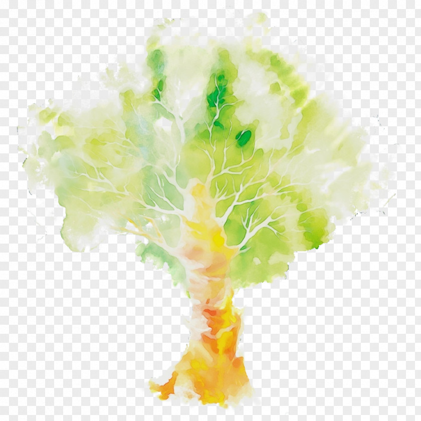 Tree Plant Watercolor Paint PNG