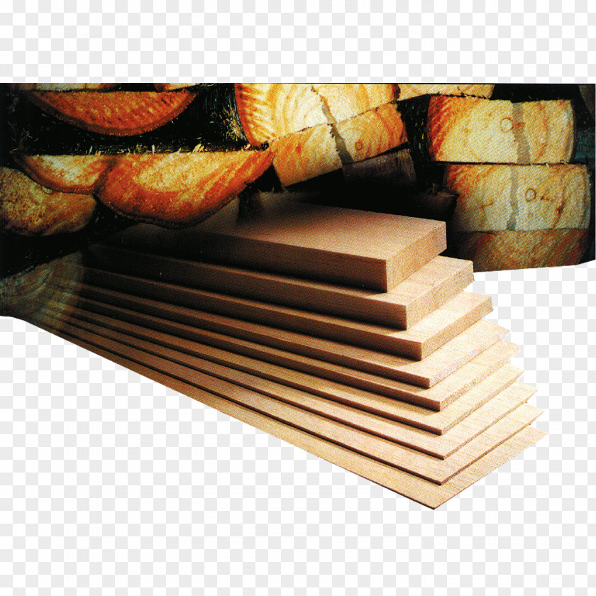 Wood Ochroma Pyramidale Plywood Georg Aigner KG JST Connector PNG