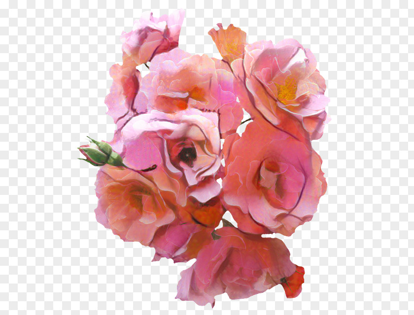Clip Art Rose Image Flower PNG