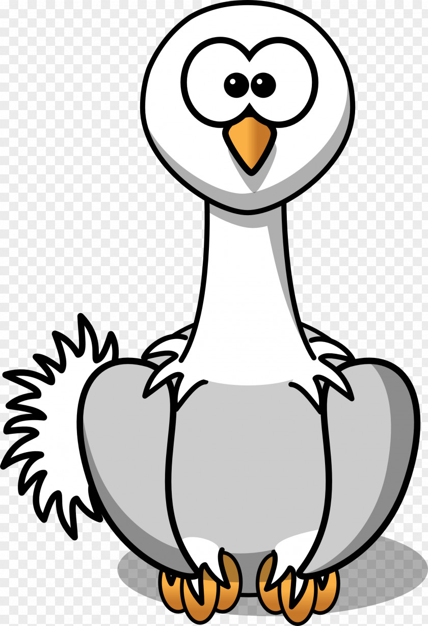 Ostrich Cliparts Common Bird Cartoon Clip Art PNG