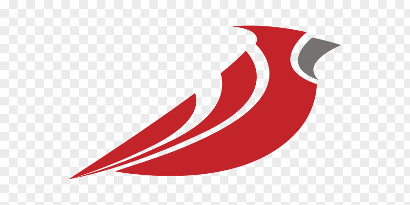 Turkey Bird Arizona Cardinals St. Louis Logo Northern Cardinal PNG