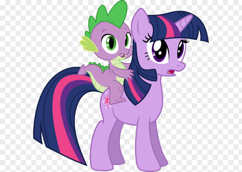 Twilight Sparkle Spike Rarity Pinkie Pie Rainbow Dash PNG