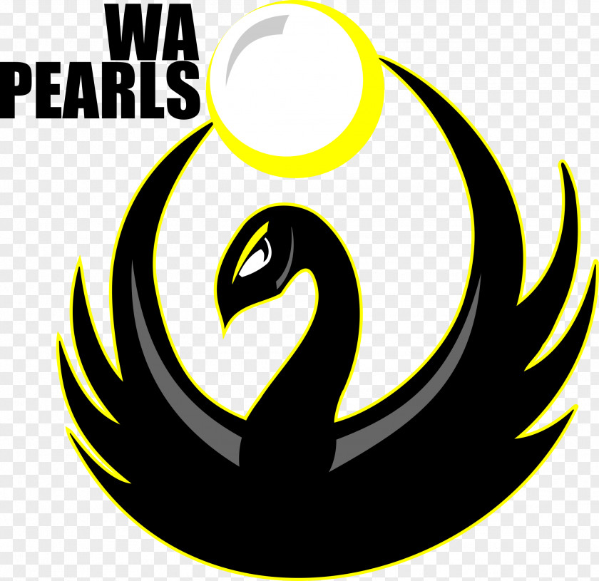 Volleyball Canberra Heat Club (Men) Melbourne Sports And Aquatic Centre Pearl PNG