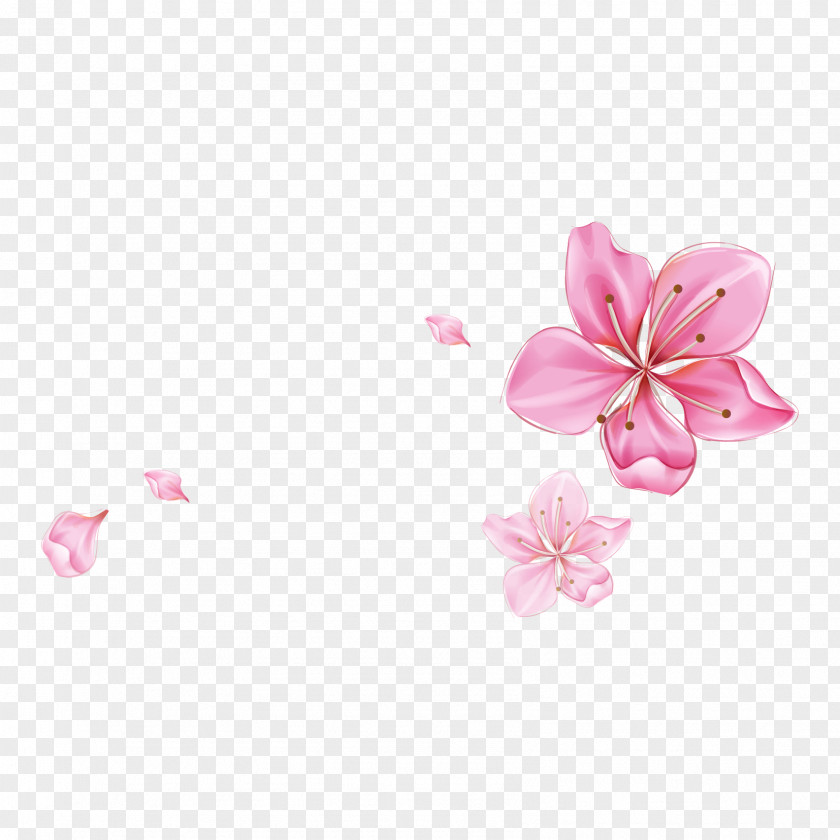 Desktop Wallpaper Display Resolution 4K Clip Art PNG