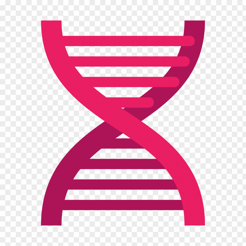 DNA Column Row Database PNG