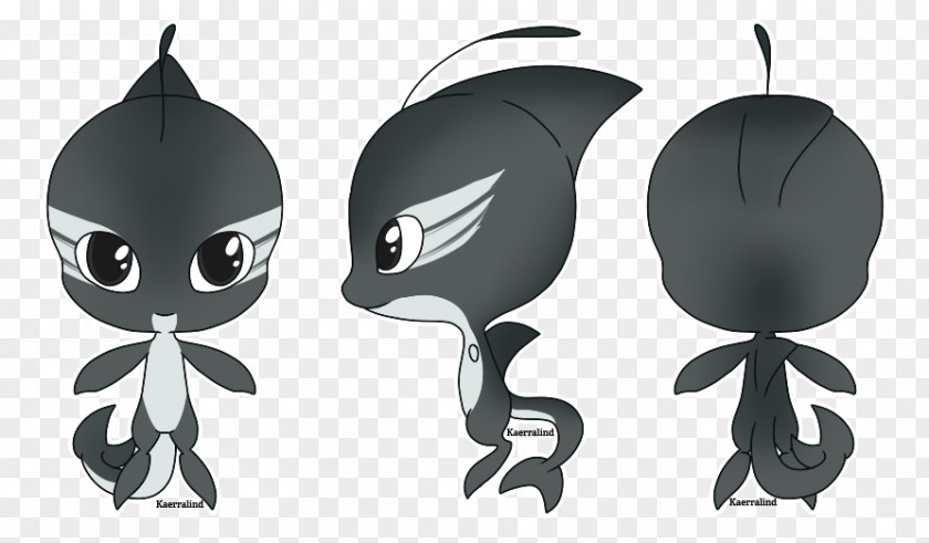 Dolphin Kwami Spinner Killer Whale Animal PNG