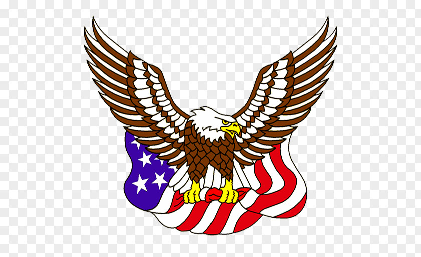 Eagle United States Of America Bald Flag The Clip Art PNG