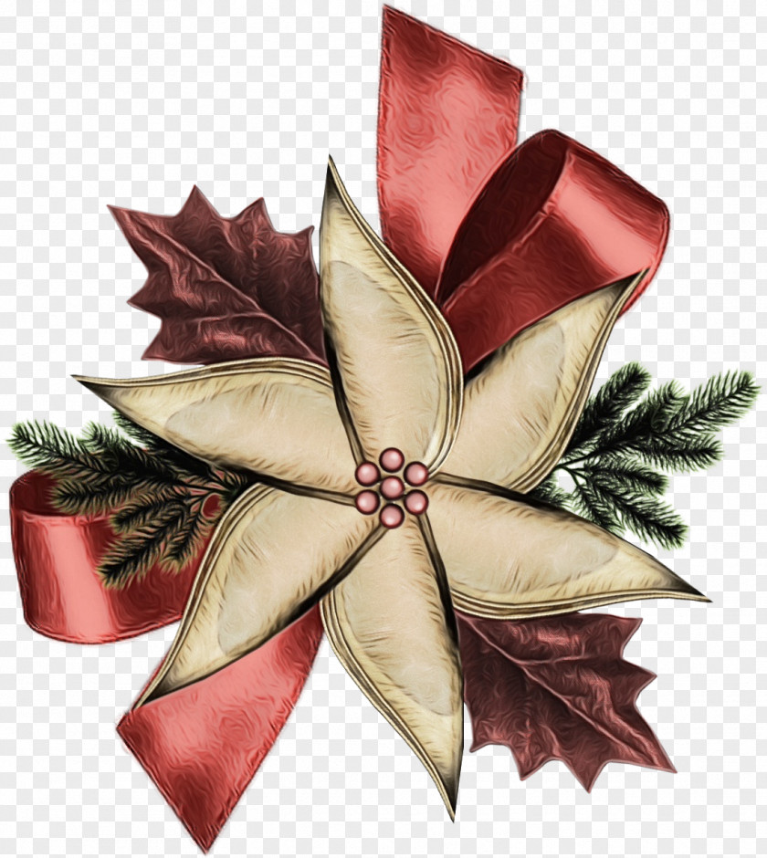 Holly PNG