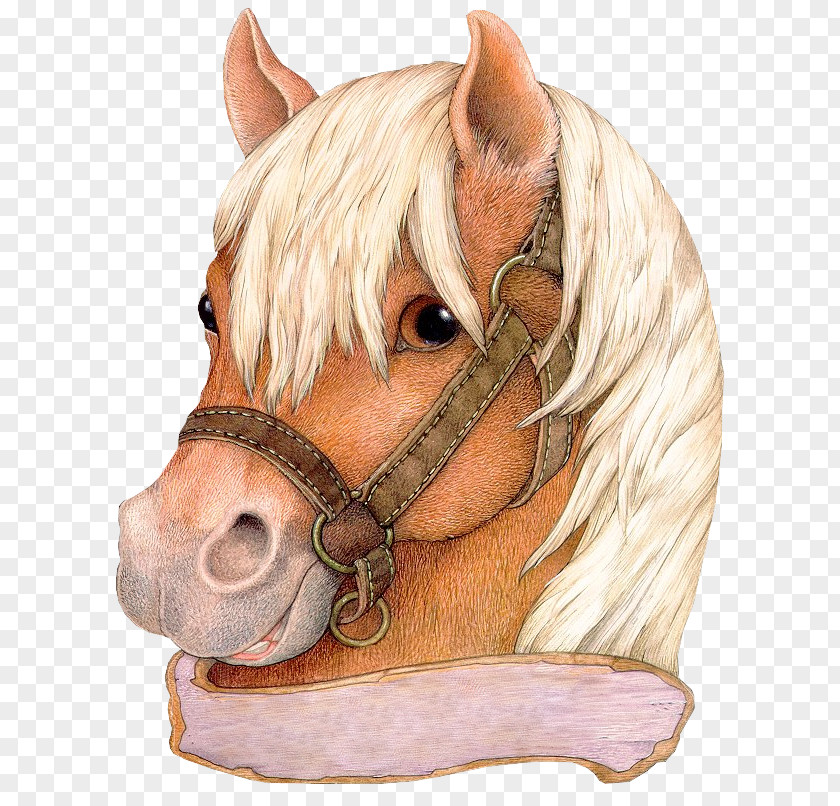 Horse Fritz And The Beautiful Horses Hat Gingerbread Baby Mitten PNG