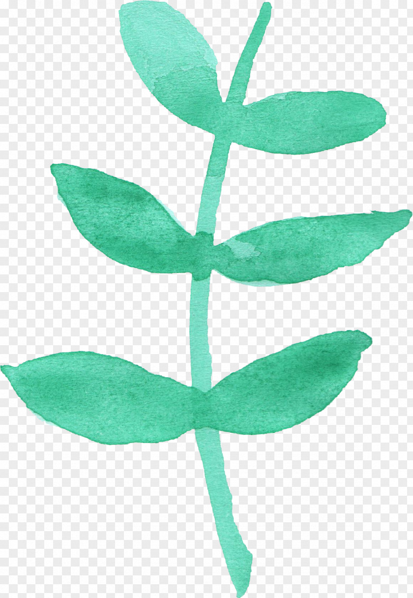 Watercolor Leaves Leaf Painting Plant Stem PNG