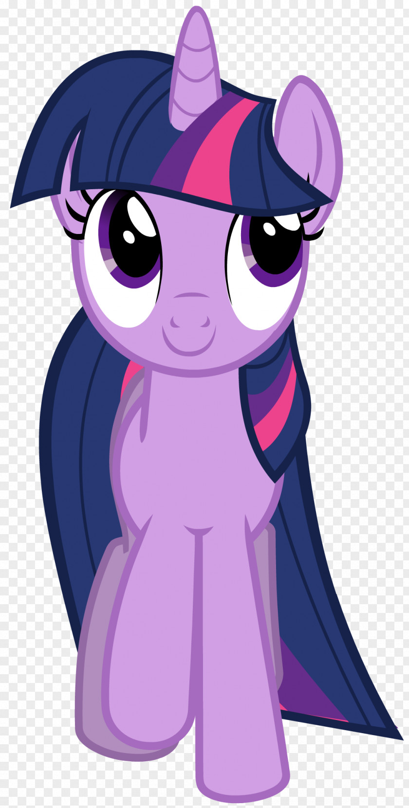 My Little Pony Twilight Sparkle Pinkie Pie Rarity PNG