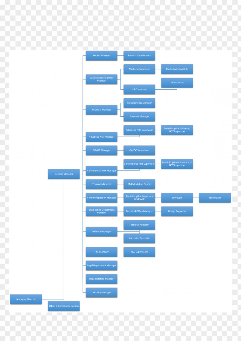 Organization Chart Organizational Diagram Structure Smouha PNG