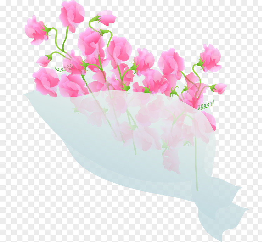 Pea Cut Flowers Floral Design Sweet Floristry PNG