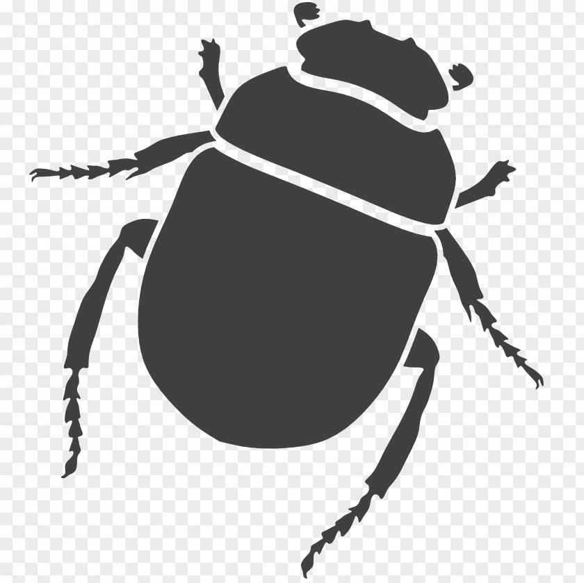 Beetle Constructive Solid Geometry Computer-aided Design AutoCAD Modeling PNG
