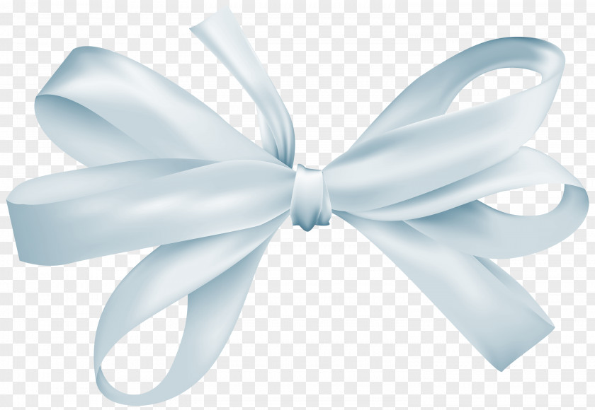 Bow Butterfly Ribbon Tie PNG