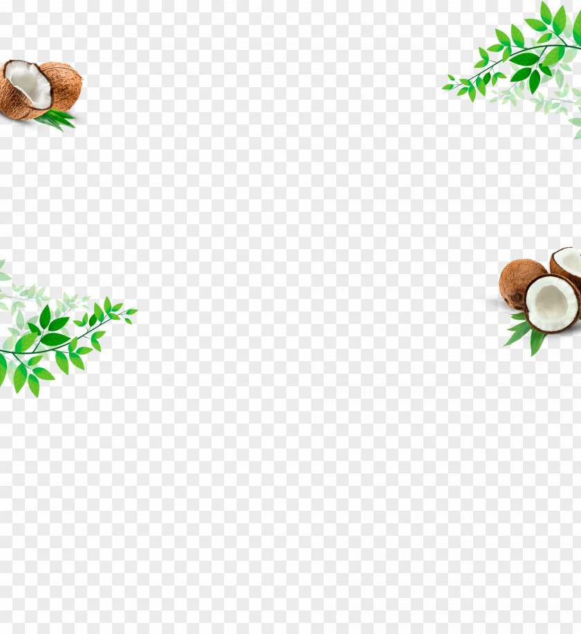 Leaf Clip Art PNG