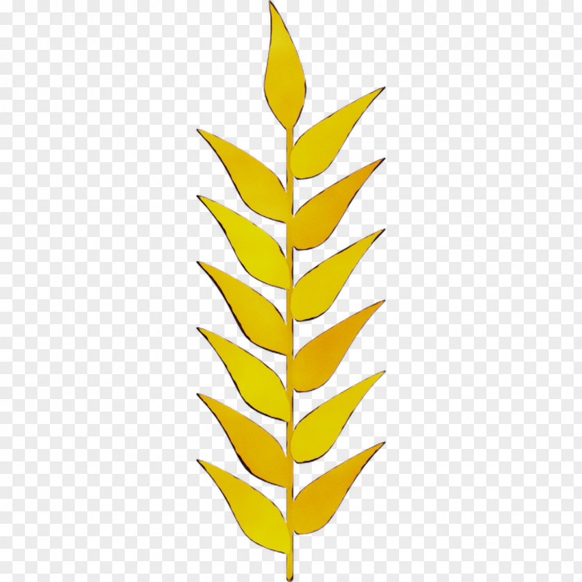 Leaf Plant Stem Commodity Line Font PNG