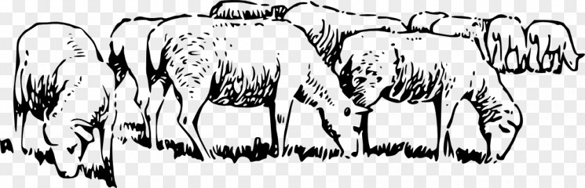 Sheep Pasture Merino Icelandic Grazing Clip Art PNG