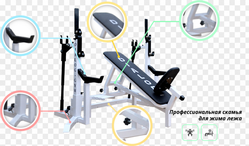 Dialog Box，dialog Elliptical Trainers Fitness Centre Exercise Machine Gym Sport PNG