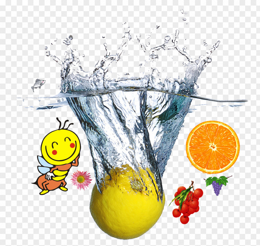 Fruit In Water Juice Lemon Carbonated Distilled PNG