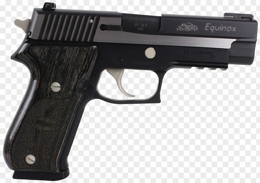 SIG Sauer P250 Pro .40 S&W P226 PNG