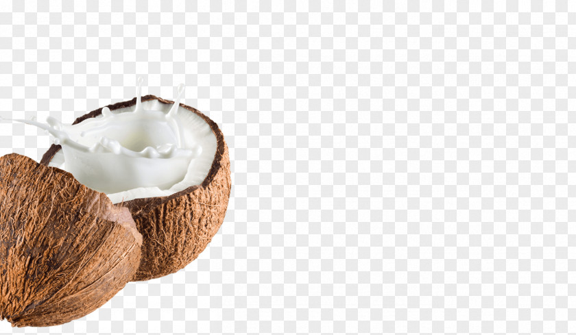 Milk Coconut Water Powder PNG