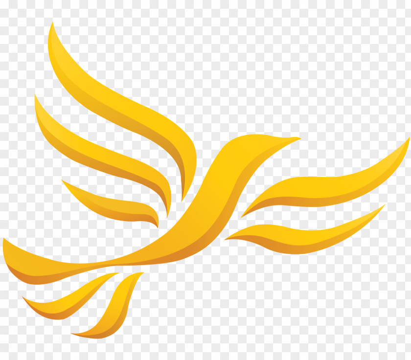 Phoenix Welsh Liberal Democrats United Kingdom Liberalism Electoral District PNG